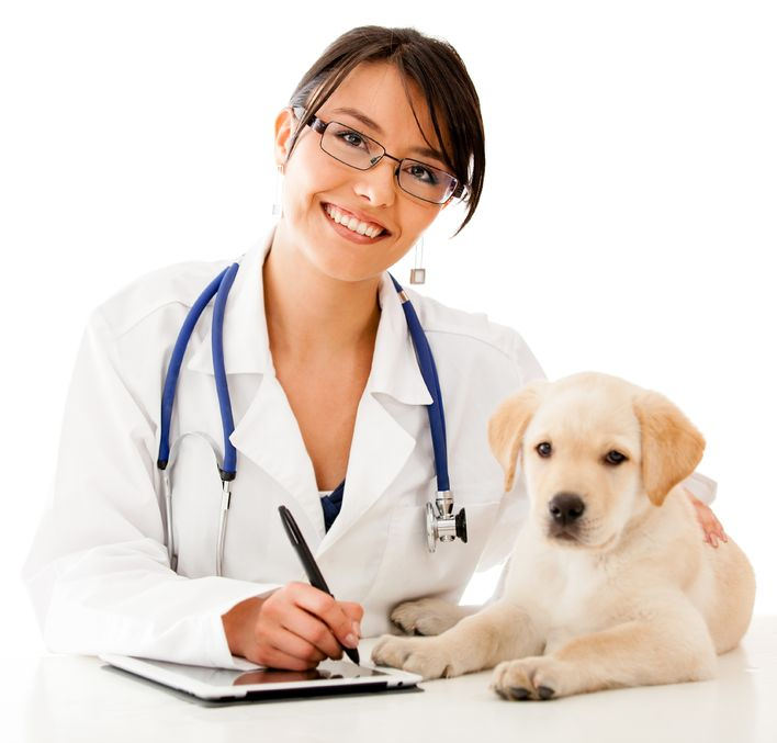 Doctor with an adorable puppy