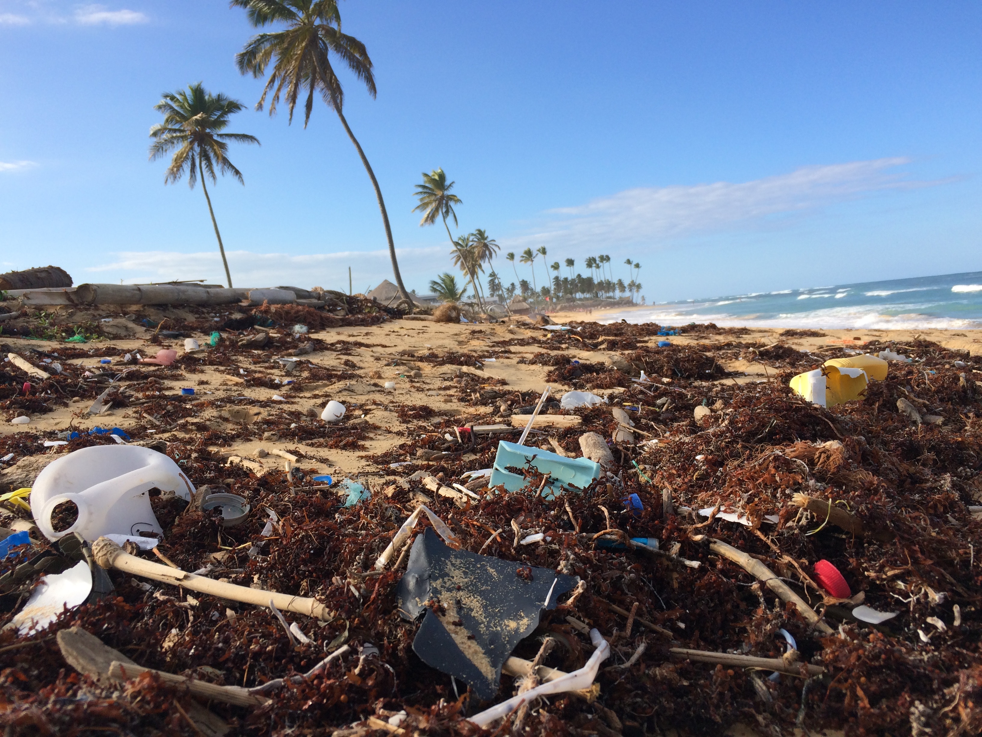 Picture of trash on a beach